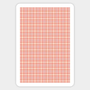 Girly Pink Plaids 001#002 Sticker